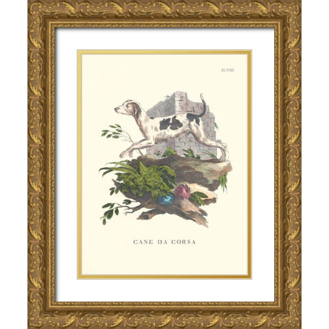 French Dogs XI Gold Ornate Wood Framed Art Print with Double Matting by Unknown