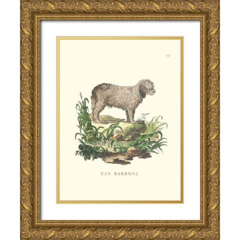 French Dogs XII Gold Ornate Wood Framed Art Print with Double Matting by Unknown