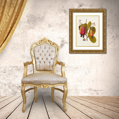 Exotic Botanicals I Gold Ornate Wood Framed Art Print with Double Matting by Unknown