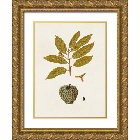 Exotic Botanicals VII Gold Ornate Wood Framed Art Print with Double Matting by Unknown