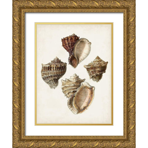 Sowerby Shells I Gold Ornate Wood Framed Art Print with Double Matting by Sowerby, James