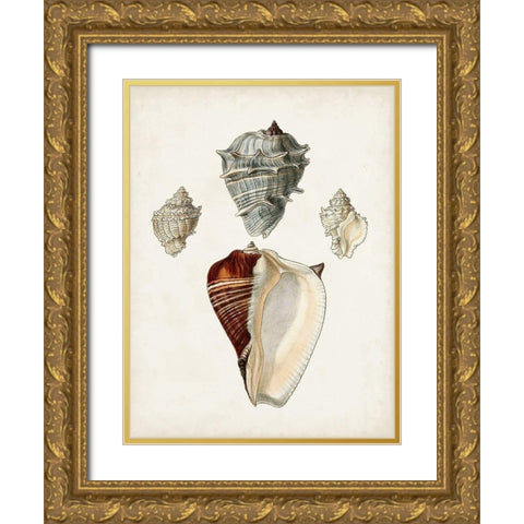 Sowerby Shells II Gold Ornate Wood Framed Art Print with Double Matting by Sowerby, James