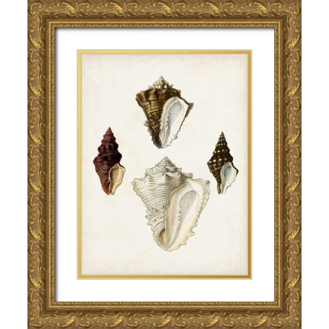 Sowerby Shells V Gold Ornate Wood Framed Art Print with Double Matting by Sowerby, James