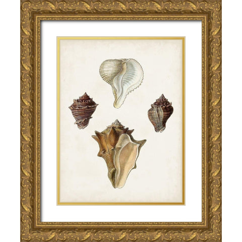 Sowerby Shells VI Gold Ornate Wood Framed Art Print with Double Matting by Sowerby, James