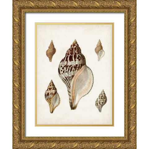 Sowerby Shells VIII Gold Ornate Wood Framed Art Print with Double Matting by Sowerby, James