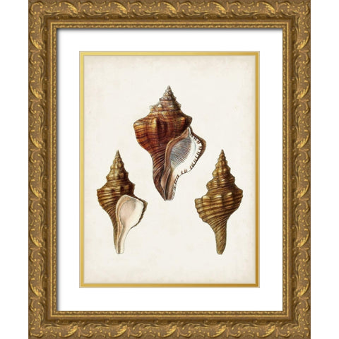 Sowerby Shells IX Gold Ornate Wood Framed Art Print with Double Matting by Sowerby, James