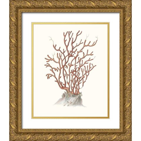 Terra Cotta Coral II Gold Ornate Wood Framed Art Print with Double Matting by Unknown