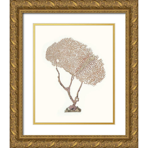 Terra Cotta Coral V Gold Ornate Wood Framed Art Print with Double Matting by Unknown