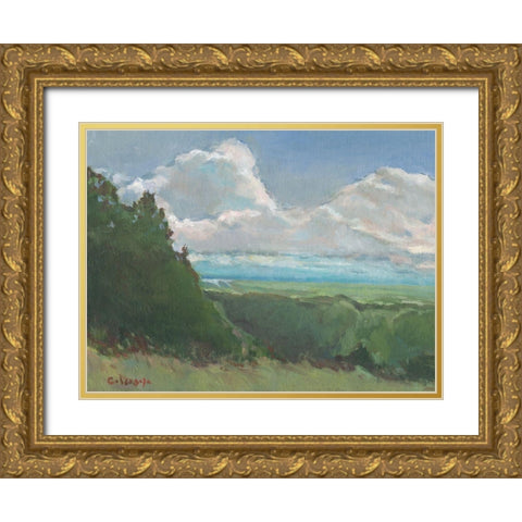 Vista View Gold Ornate Wood Framed Art Print with Double Matting by Calcasola, Stephen