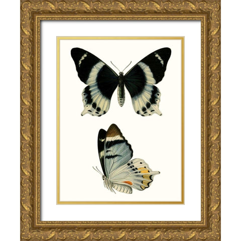 Antique Blue Butterflies I Gold Ornate Wood Framed Art Print with Double Matting by Vision Studio