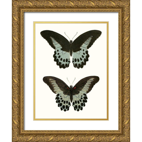 Antique Blue Butterflies II Gold Ornate Wood Framed Art Print with Double Matting by Vision Studio