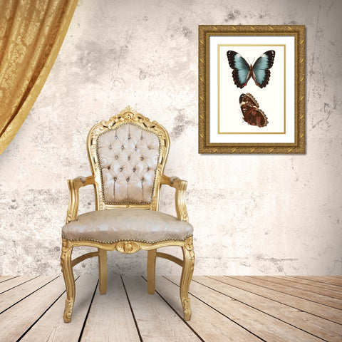 Antique Blue Butterflies IV Gold Ornate Wood Framed Art Print with Double Matting by Vision Studio