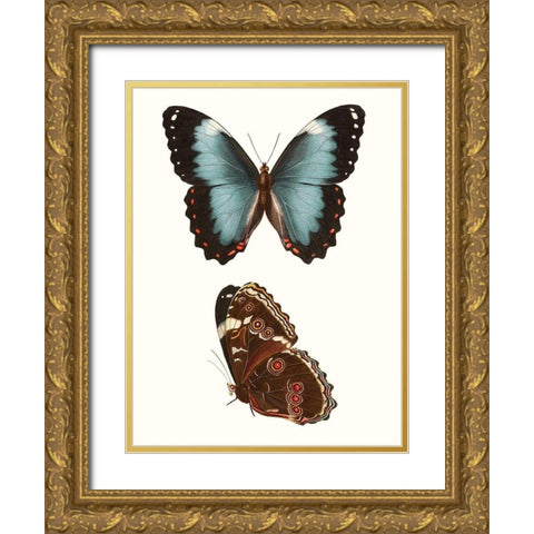 Antique Blue Butterflies IV Gold Ornate Wood Framed Art Print with Double Matting by Vision Studio