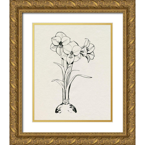 Christmas Amaryllis I Gold Ornate Wood Framed Art Print with Double Matting by Popp, Grace