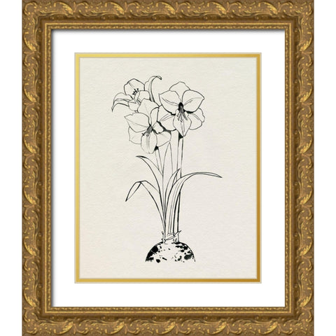 Christmas Amaryllis II Gold Ornate Wood Framed Art Print with Double Matting by Popp, Grace