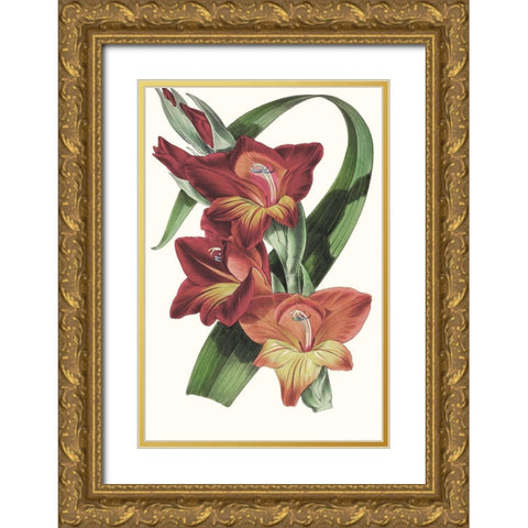 Paxton Tropicals II Gold Ornate Wood Framed Art Print with Double Matting by Paxton