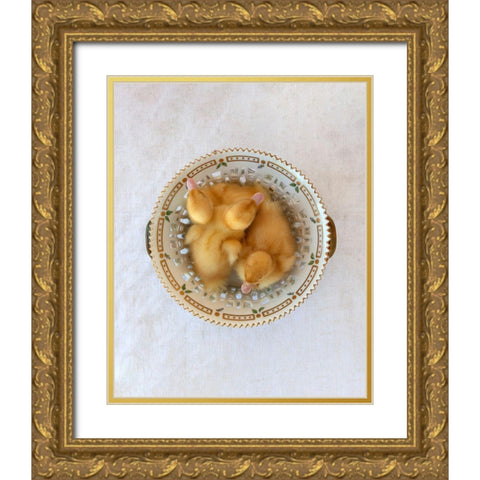 Floradanica with Ducklings Gold Ornate Wood Framed Art Print with Double Matting by Soderman, Tania