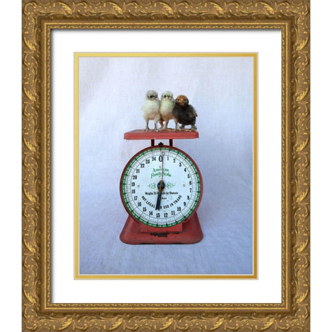Chicks on Red Scale Gold Ornate Wood Framed Art Print with Double Matting by Soderman, Tania