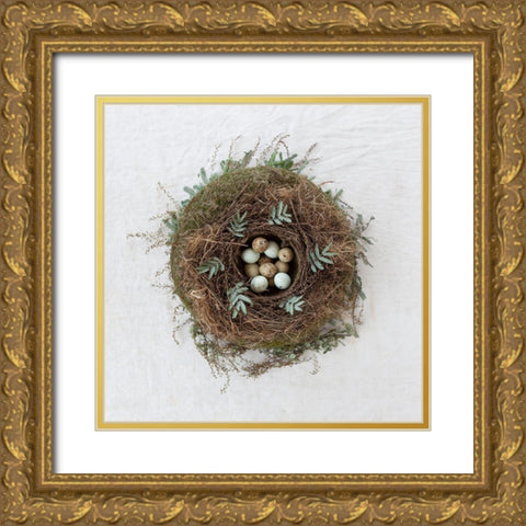 Winter Nest Gold Ornate Wood Framed Art Print with Double Matting by Soderman, Tania