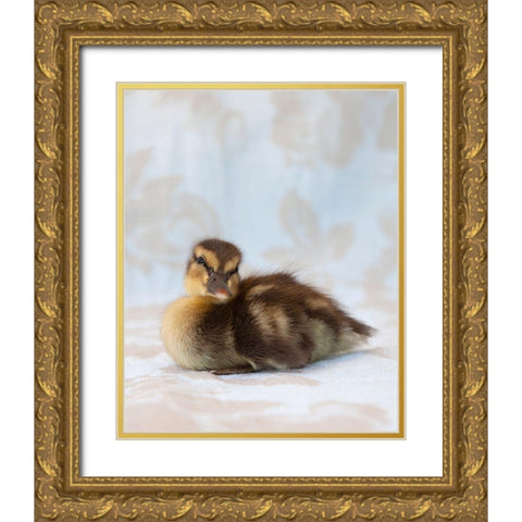 Peanut Gold Ornate Wood Framed Art Print with Double Matting by Soderman, Tania