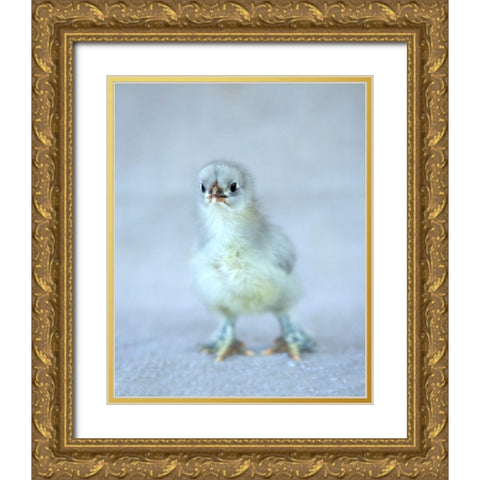 Bluebell Gold Ornate Wood Framed Art Print with Double Matting by Soderman, Tania