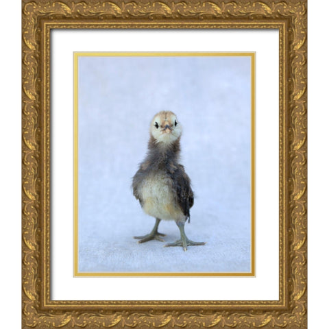 Viva Gold Ornate Wood Framed Art Print with Double Matting by Soderman, Tania