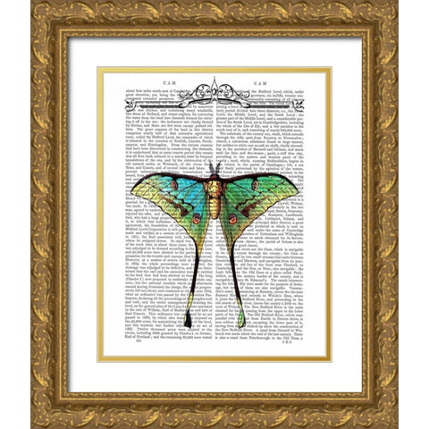Butterfly 1 Gold Ornate Wood Framed Art Print with Double Matting by Fab Funky