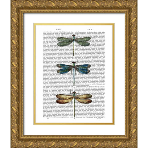 Dragonflies Print 1 Gold Ornate Wood Framed Art Print with Double Matting by Fab Funky