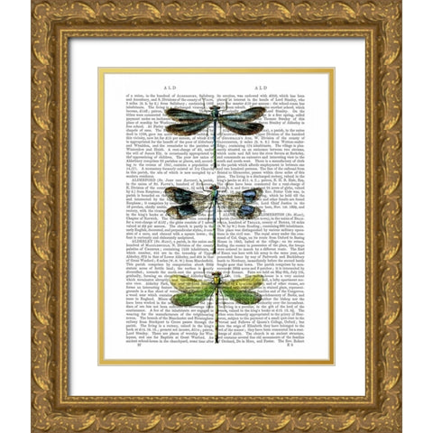 Dragonflies Print 2 Gold Ornate Wood Framed Art Print with Double Matting by Fab Funky