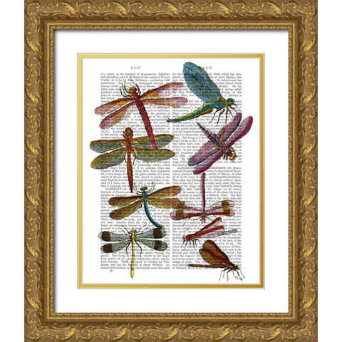 Dragonfly Print 3 Gold Ornate Wood Framed Art Print with Double Matting by Fab Funky