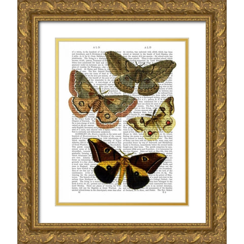 Moth Plate 3 Gold Ornate Wood Framed Art Print with Double Matting by Fab Funky