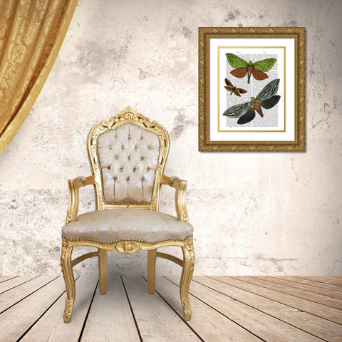 Butterflies 3 Gold Ornate Wood Framed Art Print with Double Matting by Fab Funky