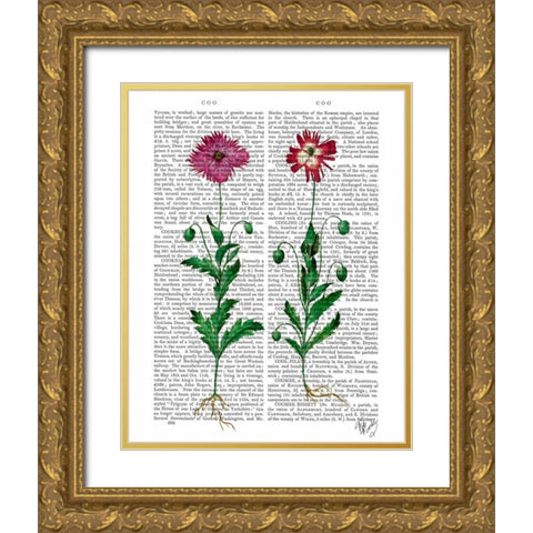 Italian Carnation 3 Gold Ornate Wood Framed Art Print with Double Matting by Fab Funky