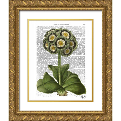 Primula Auricula Blue Gold Ornate Wood Framed Art Print with Double Matting by Fab Funky