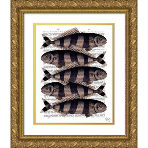 Five Striped Fish Gold Ornate Wood Framed Art Print with Double Matting by Fab Funky