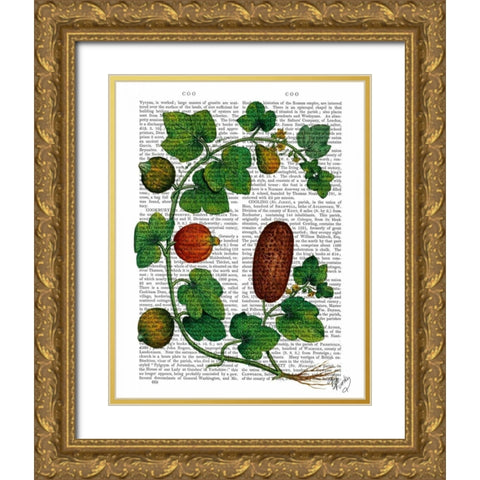 Squash Vine 3 Gold Ornate Wood Framed Art Print with Double Matting by Fab Funky