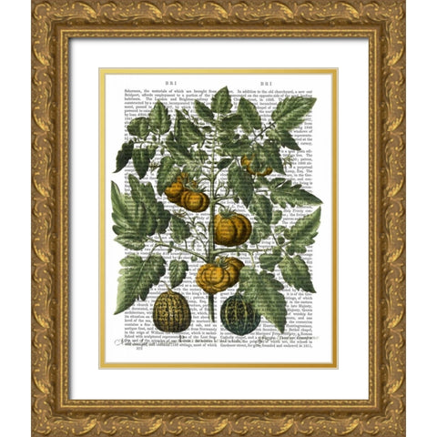 Peppers 5 Gold Ornate Wood Framed Art Print with Double Matting by Fab Funky