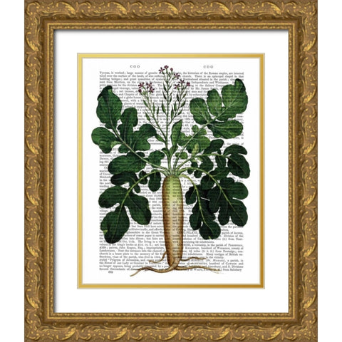 Parsnip 2 Gold Ornate Wood Framed Art Print with Double Matting by Fab Funky