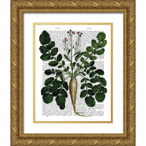 Parsnip 3 Gold Ornate Wood Framed Art Print with Double Matting by Fab Funky