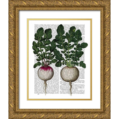 Radishes Print Gold Ornate Wood Framed Art Print with Double Matting by Fab Funky