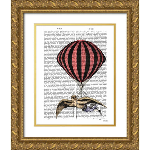 Vintage Flying Machine Gold Ornate Wood Framed Art Print with Double Matting by Fab Funky