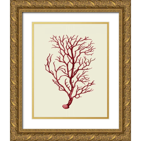 Corals Coral On Cream b Gold Ornate Wood Framed Art Print with Double Matting by Fab Funky