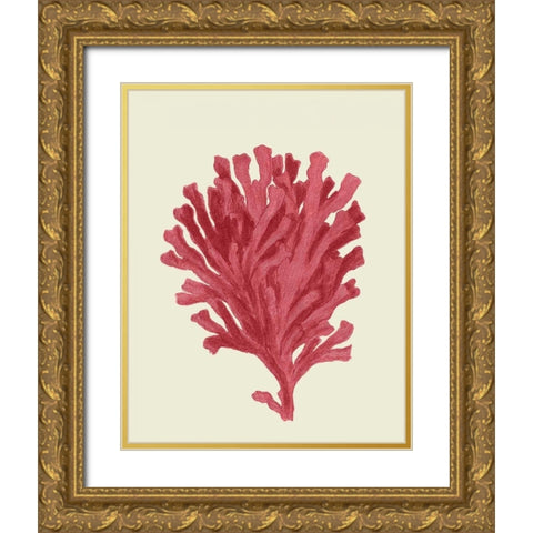 Corals Coral On Cream d Gold Ornate Wood Framed Art Print with Double Matting by Fab Funky