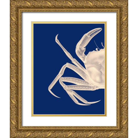 Contrasting Crab in Navy Blue a Gold Ornate Wood Framed Art Print with Double Matting by Fab Funky