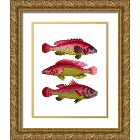 Red and Yellow Fantasy Fish Trio Gold Ornate Wood Framed Art Print with Double Matting by Fab Funky