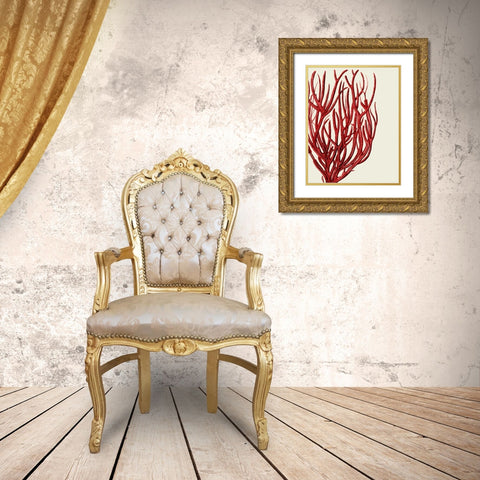 Red Corals 2 c Gold Ornate Wood Framed Art Print with Double Matting by Fab Funky