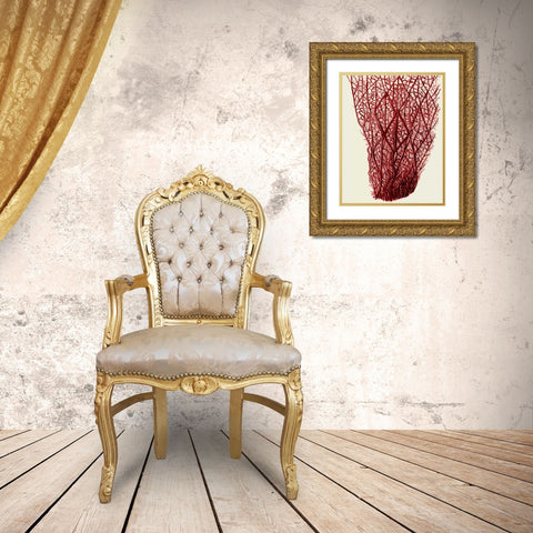 Red Corals 2 f Gold Ornate Wood Framed Art Print with Double Matting by Fab Funky
