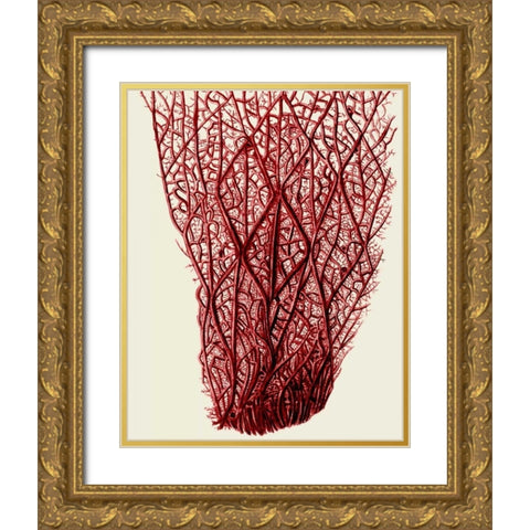 Red Corals 2 f Gold Ornate Wood Framed Art Print with Double Matting by Fab Funky