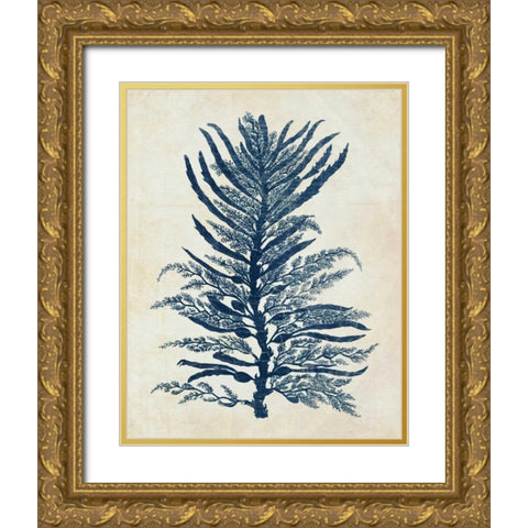 Indigo Blue Seaweed 1 b Gold Ornate Wood Framed Art Print with Double Matting by Fab Funky