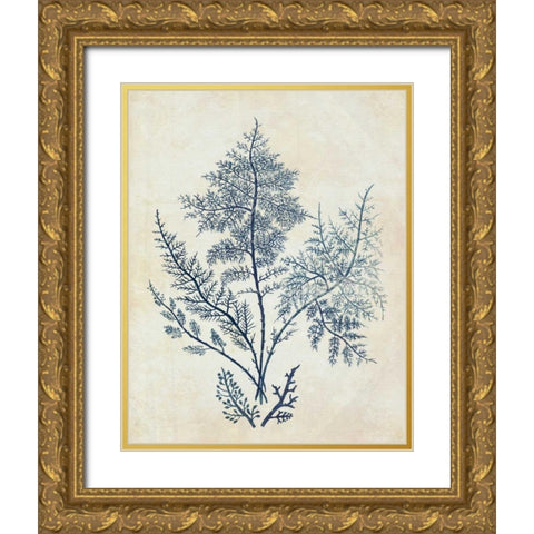 Indigo Blue Seaweed 1 d Gold Ornate Wood Framed Art Print with Double Matting by Fab Funky